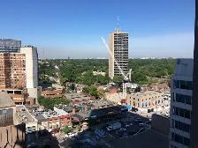 1 Bed Condo, Yonge and Eglinton, 5 minutes walk to crosstown LRT - Photo 3