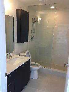 1 Bed Condo, Yonge and Eglinton, 5 minutes walk to crosstown LRT - Photo 4