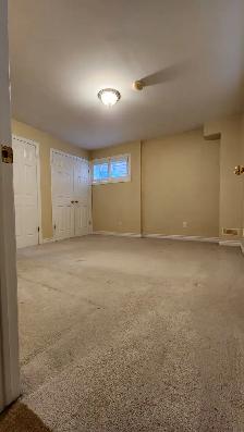 2 BR Walkout Basement Apartment Rent in Prime Location Newmarket - Photo 4