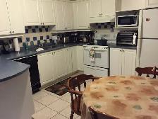 2 BR Walkout Basement Apartment Rent in Prime Location Newmarket - Photo 7