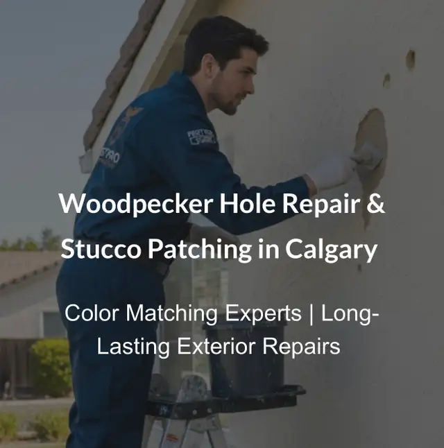 Woodpecker Hole Damage Repair / Stucco Patch / Deterrent