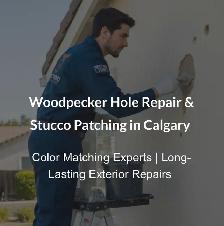 Woodpecker Hole Damage Repair / Stucco Patch / Deterrent