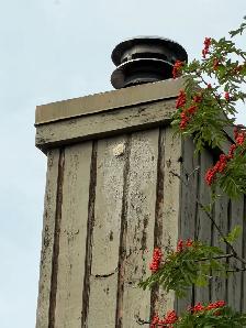 Woodpecker Hole Damage Repair / Stucco Patch / Deterrent - Photo 3