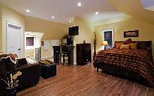 Downtown Fully Furnished Bachelor Across Victoria Park - Photo 2