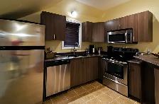 Downtown Fully Furnished Bachelor Across Victoria Park - Photo 4