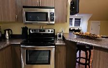 Downtown Fully Furnished Bachelor Across Victoria Park - Photo 5