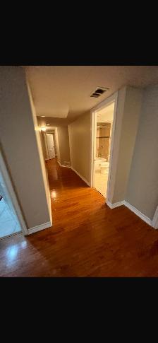 2 Bedroom Basement Available for Rent - Photo 12