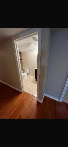 2 Bedroom Basement Available for Rent - Photo 18