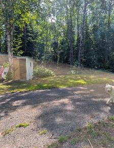 Lot in Batchewana - Photo 4