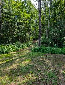 Lot in Batchewana - Photo 10