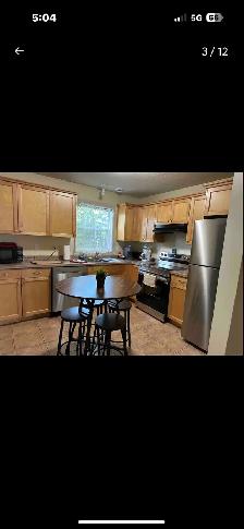 EXECUTIVE FULLY FURNISHED 4 BEDROOMS SUITE - Photo 2