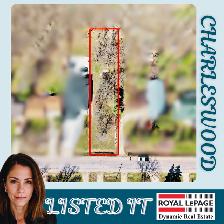 BIG CHARLESWOOD BUILDING LOT FOR SALE -840 COVENTRY RD