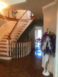 near  u of T 4 Scarb havs 4  bed roomshouse  for rent - Photo 3