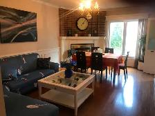 near  u of T 4 Scarb havs 4  bed roomshouse  for rent - Photo 7