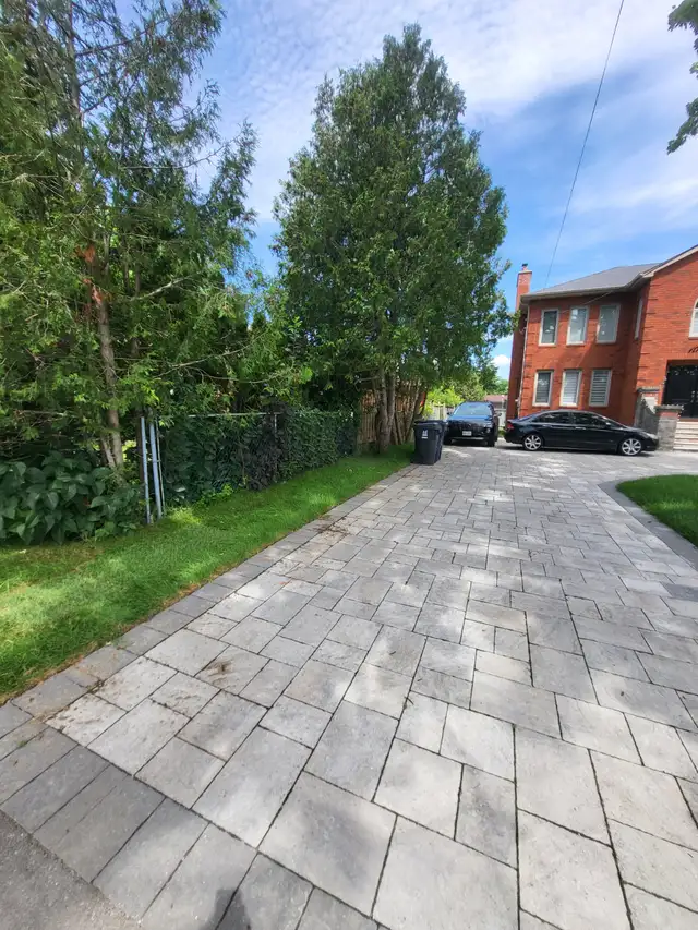 1 BR basement Apartment - Rent in Scarborough