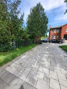 1 BR basement Apartment - Rent in Scarborough