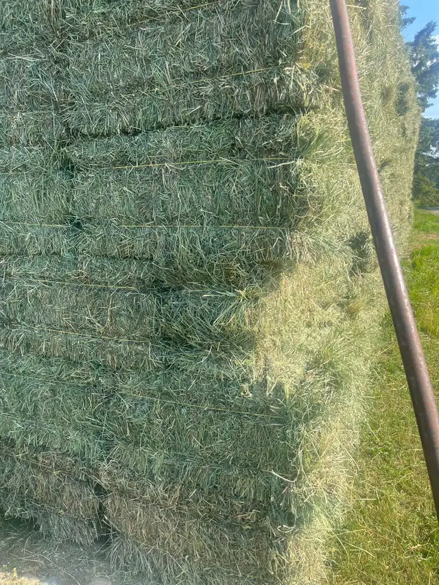 square mixed hay bales