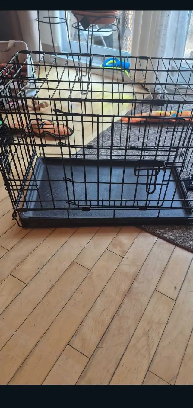 Small dog cages