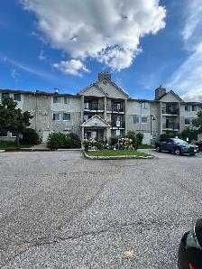 2 Bedroom Condo Apartment - Photo 3