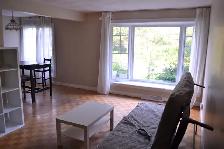 Furnished Room for Rent – Bank Street & Walkley Road (K1V 6J8) - Photo 3