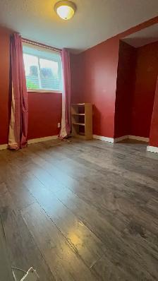 Available Oct 1. Private One bedroom and living room basement