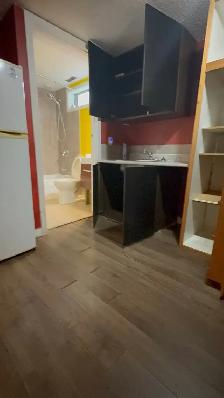 Available Oct 1. Private One bedroom and living room basement - Photo 2