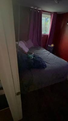 Available Oct 1. Private One bedroom and living room basement - Photo 3