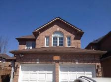 Nov 1 -New 2 Bedrm, Sep Ent Basement in Central Mississauga