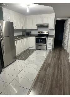Walk out basement for rent