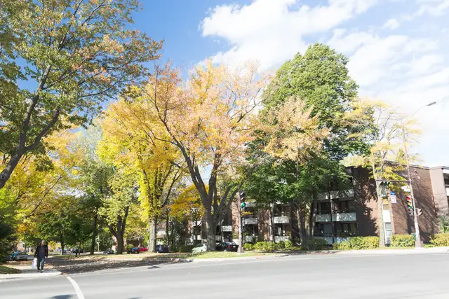 3 1/2 Ste-Foy - Tout inclus - cégep Garneau-oct.
