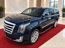 2019 Cadillac Escalade ESV Luxury / One Owner / No Accidents - M - Photo 3