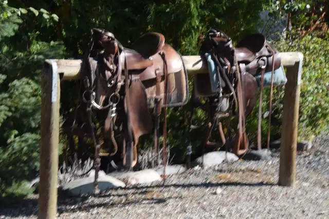 Saddles, $200 EACH.