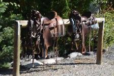 Saddles, $200 EACH.