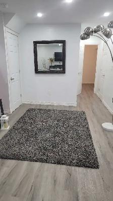 Basement for rent - Photo 6