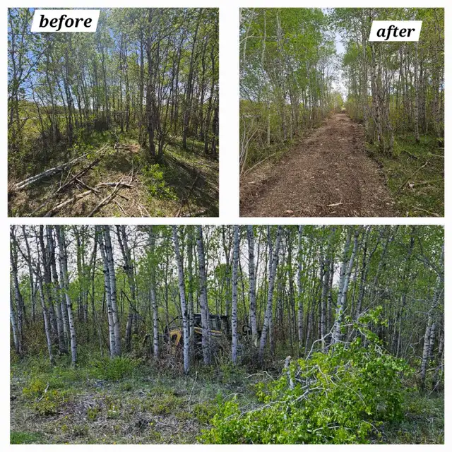 Mulching / Land Clearing