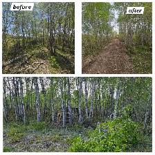 Mulching / Land Clearing