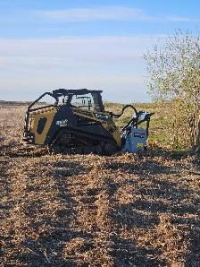 Mulching / Land Clearing - Photo 4
