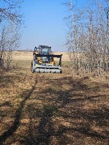 Mulching / Land Clearing - Photo 5