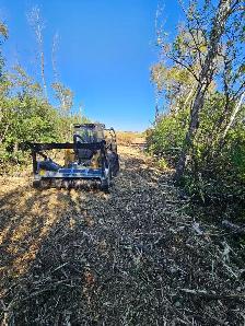 Mulching / Land Clearing - Photo 8