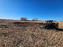 Mulching / Land Clearing - Photo 9
