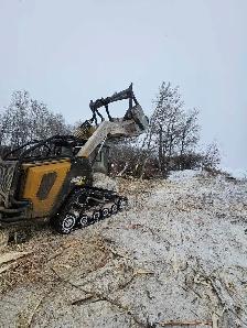 Mulching / Land Clearing - Photo 10
