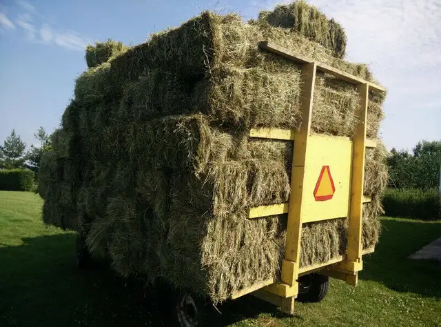 Hay Bales