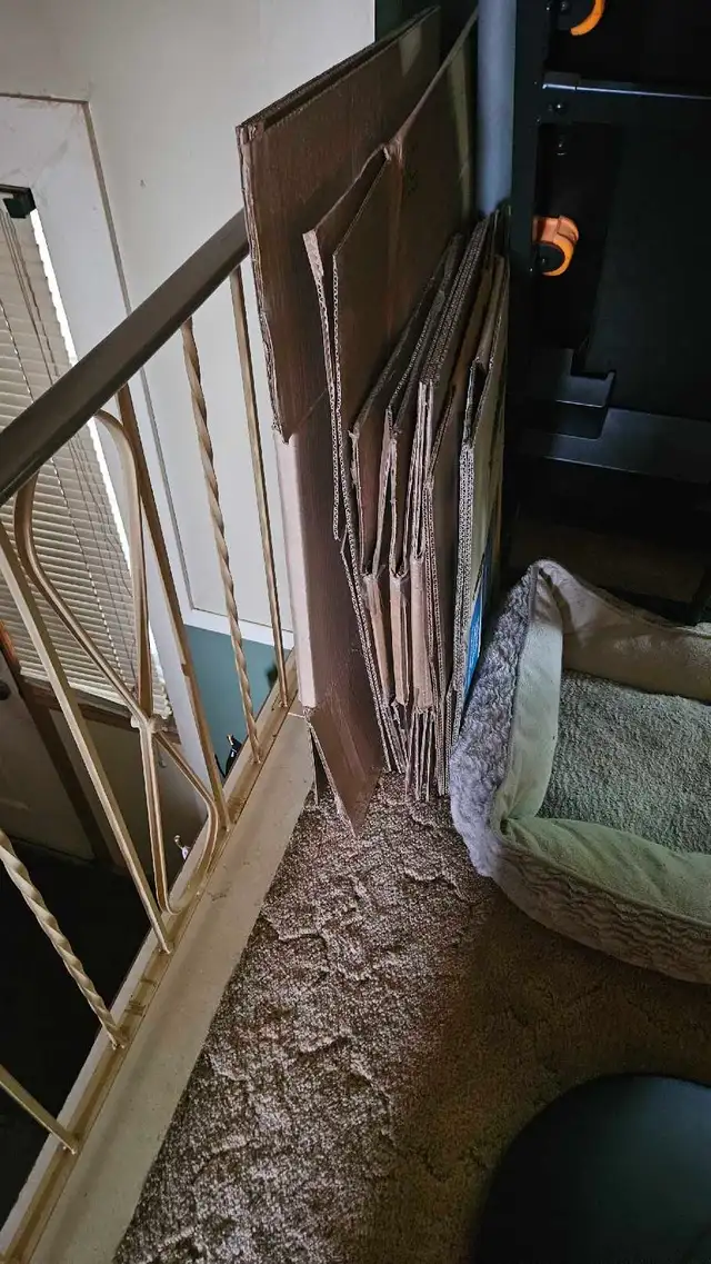 moving boxes