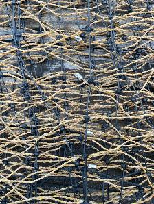 Electric fences for sale - Photo 3