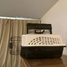 Pet carrier