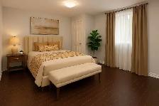1 Bedroom Basement, Oct or Nov, Sheridan - Photo 2