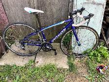 Trek road bike