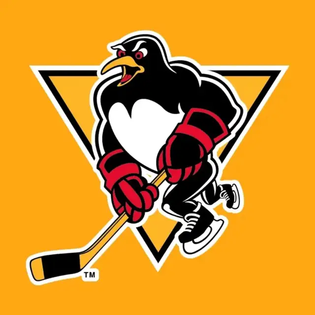 Calgary ASHL Div 1 Hockey team looking for players