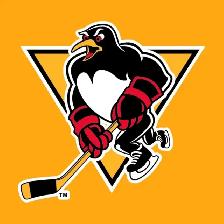 Calgary ASHL Div 1 Hockey team looking for players