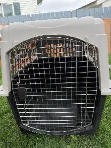 XLArge dog kennel - Photo 4